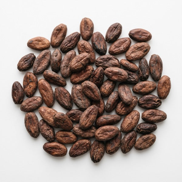 Cocoa Extract